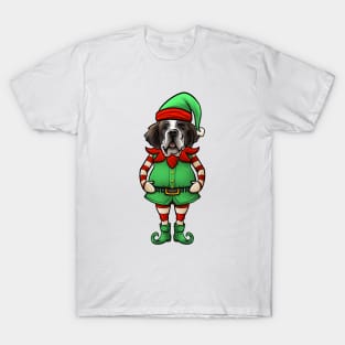 St Bernard Christmas Elf T-Shirt